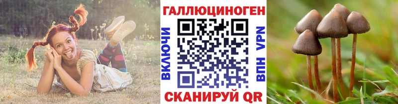 Купить закладки  Мосальск  Псилоцибиновые грибы MAGIC MUSHROOMS 