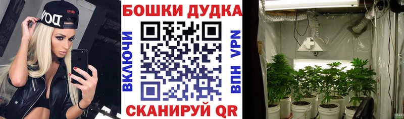 Купить  Мосальск  Марихуана Bruce Banner 